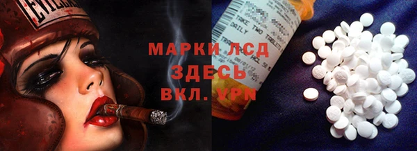 ГАЛЛЮЦИНОГЕННЫЕ ГРИБЫ Лихославль