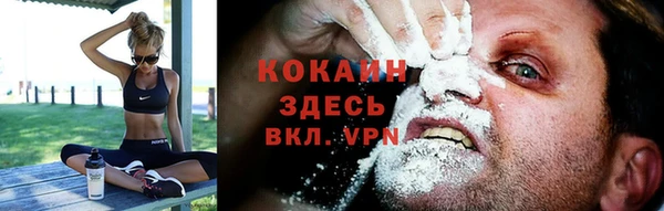 ГАЛЛЮЦИНОГЕННЫЕ ГРИБЫ Лихославль
