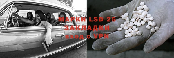 ГАЛЛЮЦИНОГЕННЫЕ ГРИБЫ Лихославль
