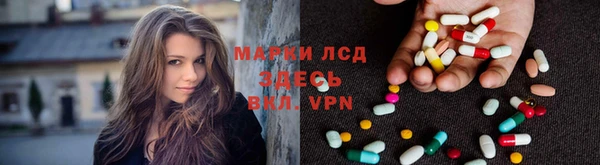 ГАЛЛЮЦИНОГЕННЫЕ ГРИБЫ Лихославль