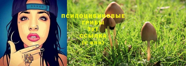 ГАЛЛЮЦИНОГЕННЫЕ ГРИБЫ Лихославль